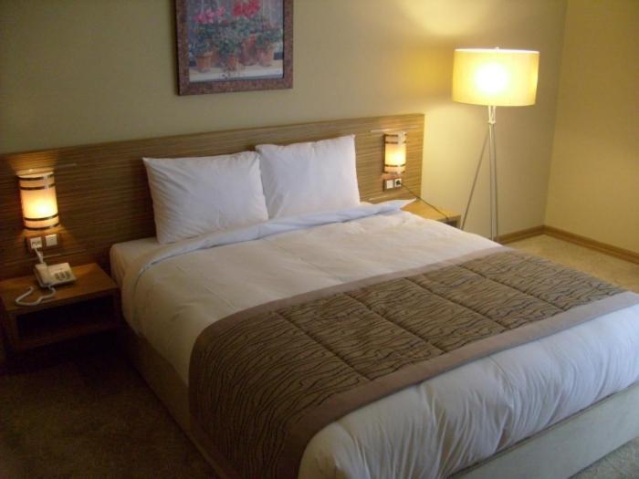Hotel Almina Park Duzce 객실 사진